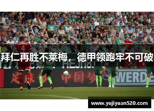 拜仁再胜不莱梅，德甲领跑牢不可破