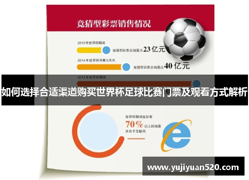 如何选择合适渠道购买世界杯足球比赛门票及观看方式解析