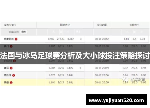 法国与冰岛足球赛分析及大小球投注策略探讨