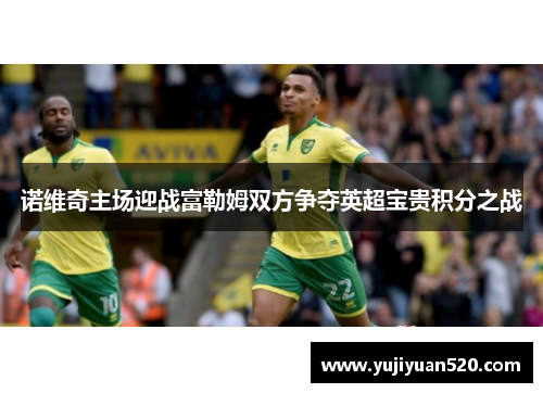诺维奇主场迎战富勒姆双方争夺英超宝贵积分之战